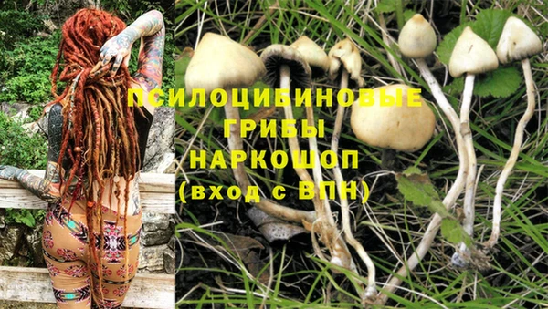 альфа пвп Елабуга
